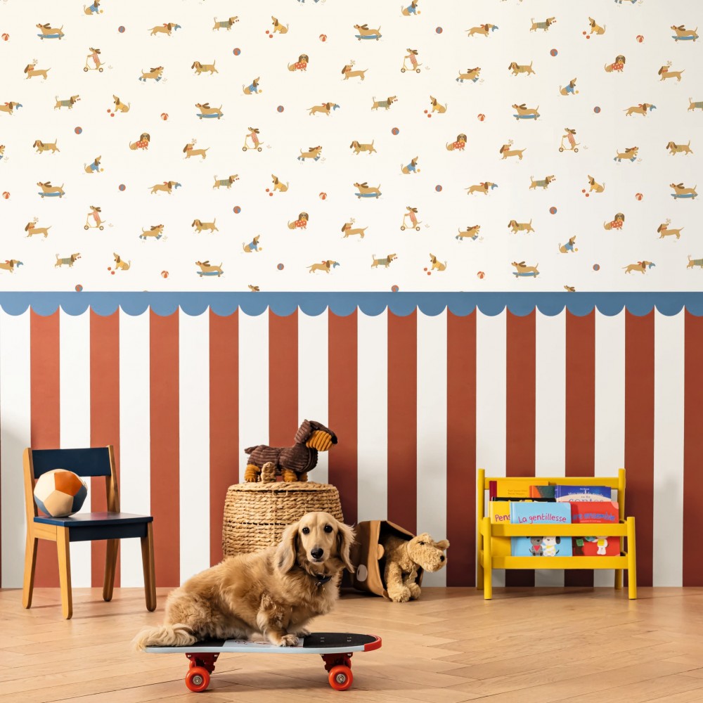 Kids Collection